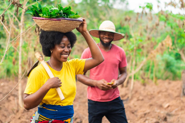 A portrait of a beautiful female African farmer carrying basket of vegetable